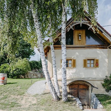 Eisenberg an der Pinka Wein Cottage Kellerstoeckl מראה חיצוני תמונה