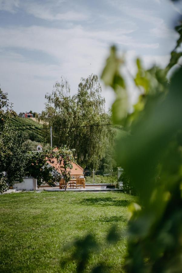 Eisenberg an der Pinka Wein Cottage Kellerstoeckl מראה חיצוני תמונה